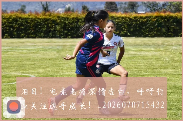 泪目！电竞老将深情告白，呼吁行业关注选手成长！_20260707154327